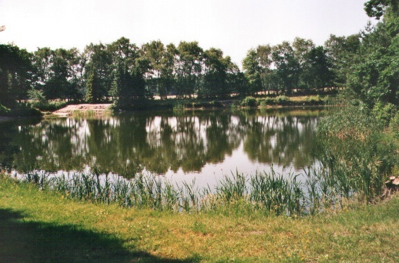 Teich 1 in Waldenau.